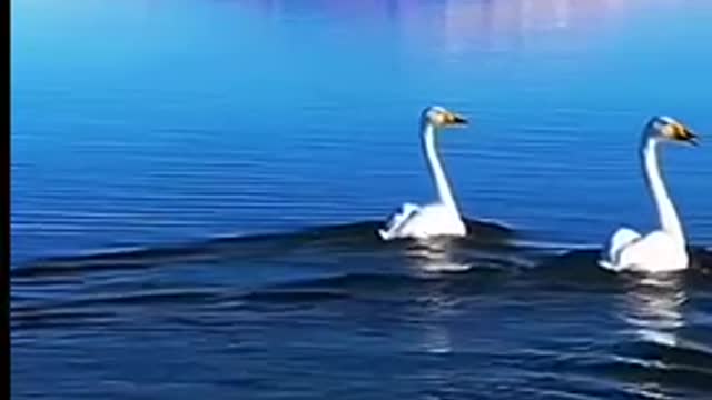 Most beautiful places with best wishes 祝福你新的一年