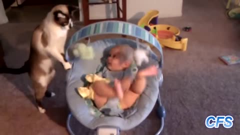 CUTY CAT LOVE BABIES