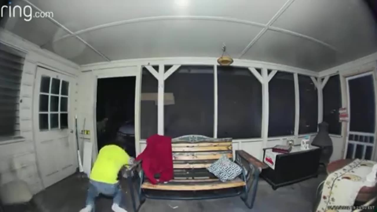 Man fights off bear trying to attack his dogs