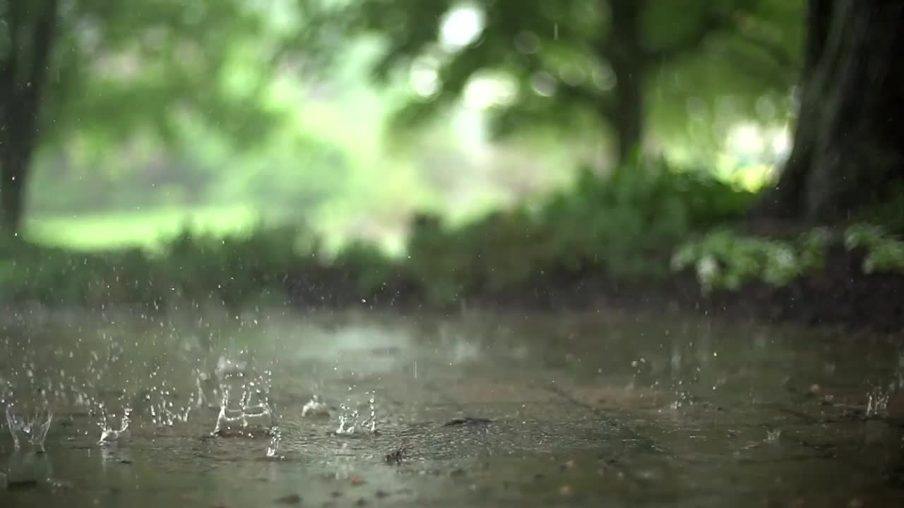 [Slow Motion] Rain Stock Footage \Royalty Free