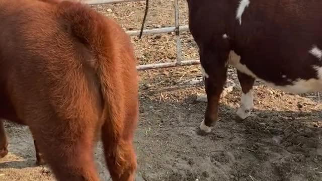 Picture day coming up time to start clipping