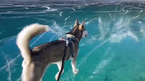 Taking a stroll on a frozen lake