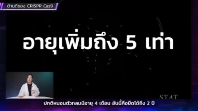 การตัดแต่งพันธุกรรม อาจนำไปสู่การล้างเผ่าพันธุ์มนุษย์