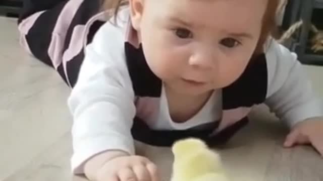 Beautiful foreplay between the child and the chick