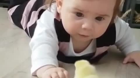 Beautiful foreplay between the child and the chick