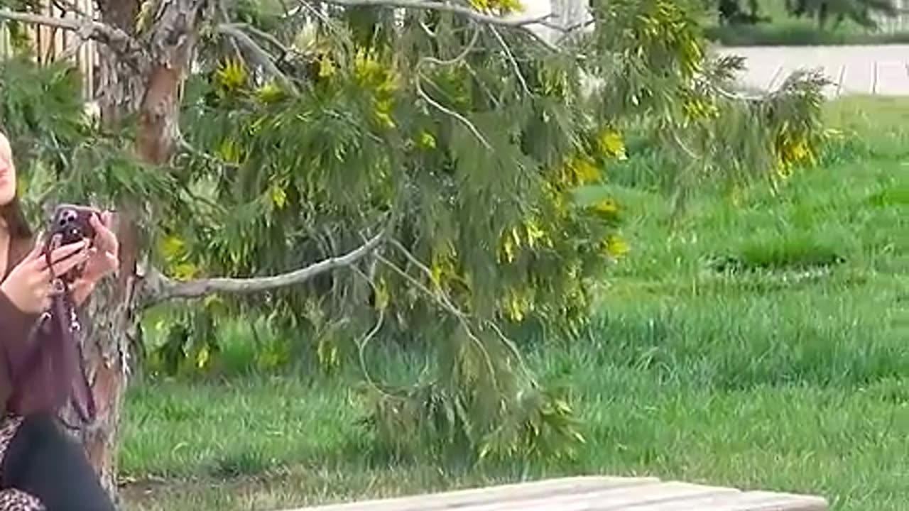 Touching _ prank