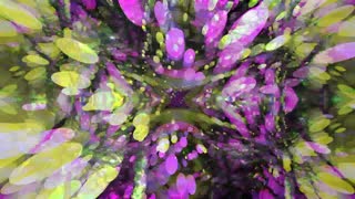 Strange Loop