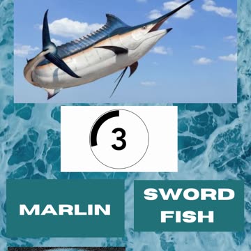 Fish Frenzy 4 A fast-paced quiz short