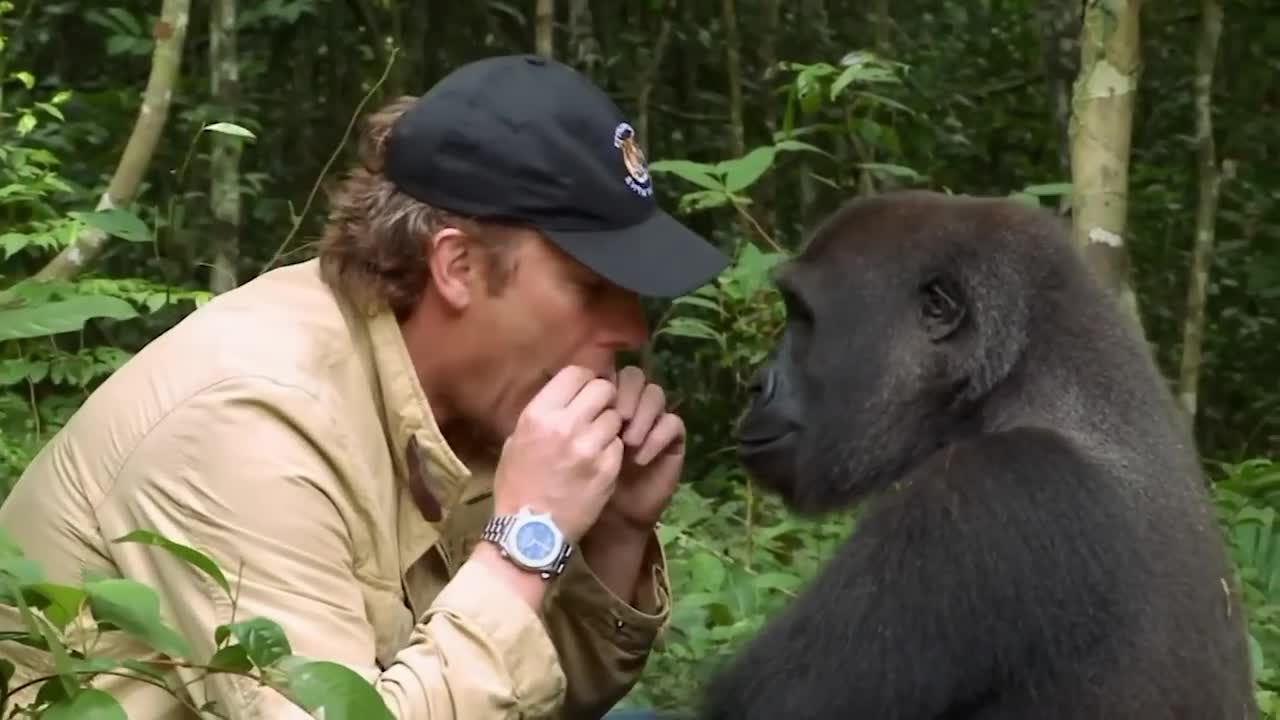 Animals Reunited With Owners AFTER YEARS!