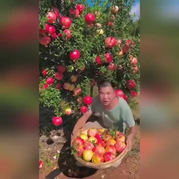 Кaкaя крaсотa! Хоть нa денёк бы тудa