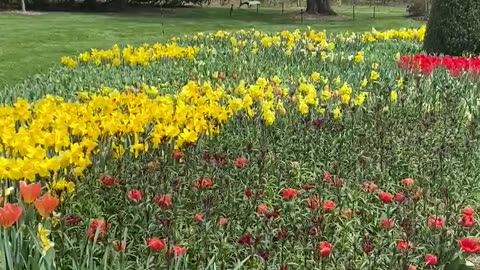 Longwood gardens