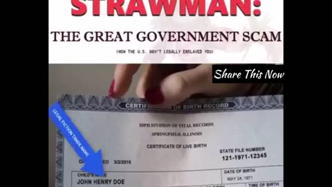 Strawman: The Great Government Scam