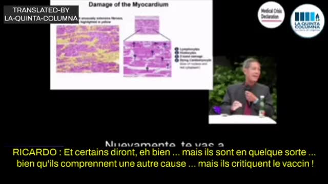IL N'Y PAS DE PROTéINE SPIKE ! Corrigeons la Fausse dissidence ...
