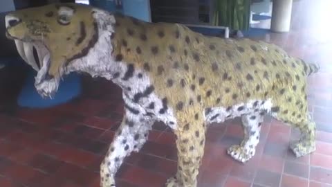 Beautiful sculpture of a tiger in the science museum, what an animal! [Nature & Animals]