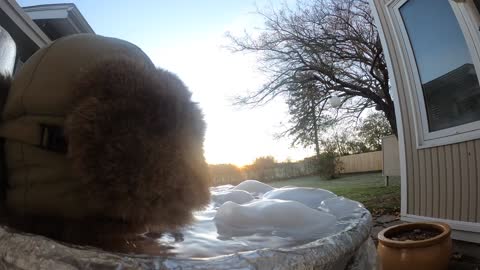 ice Bath in Nova Scotia, Canada