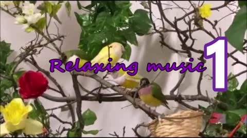 Relaxing music