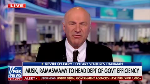 Kevin O'Leary on Elon Musk and Vivek heading up DOGE