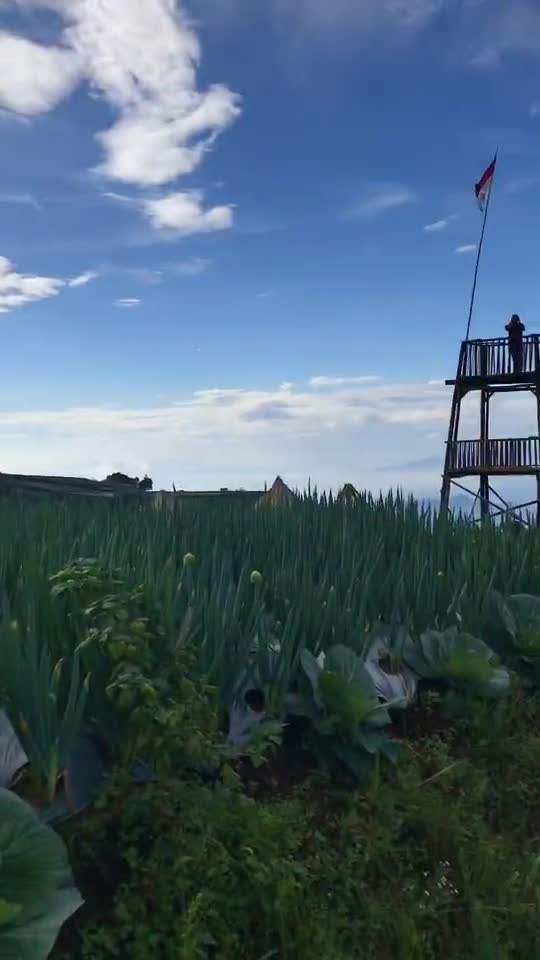 Beutyfull amazing virall