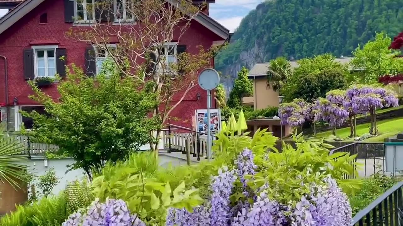 Beautiful moment