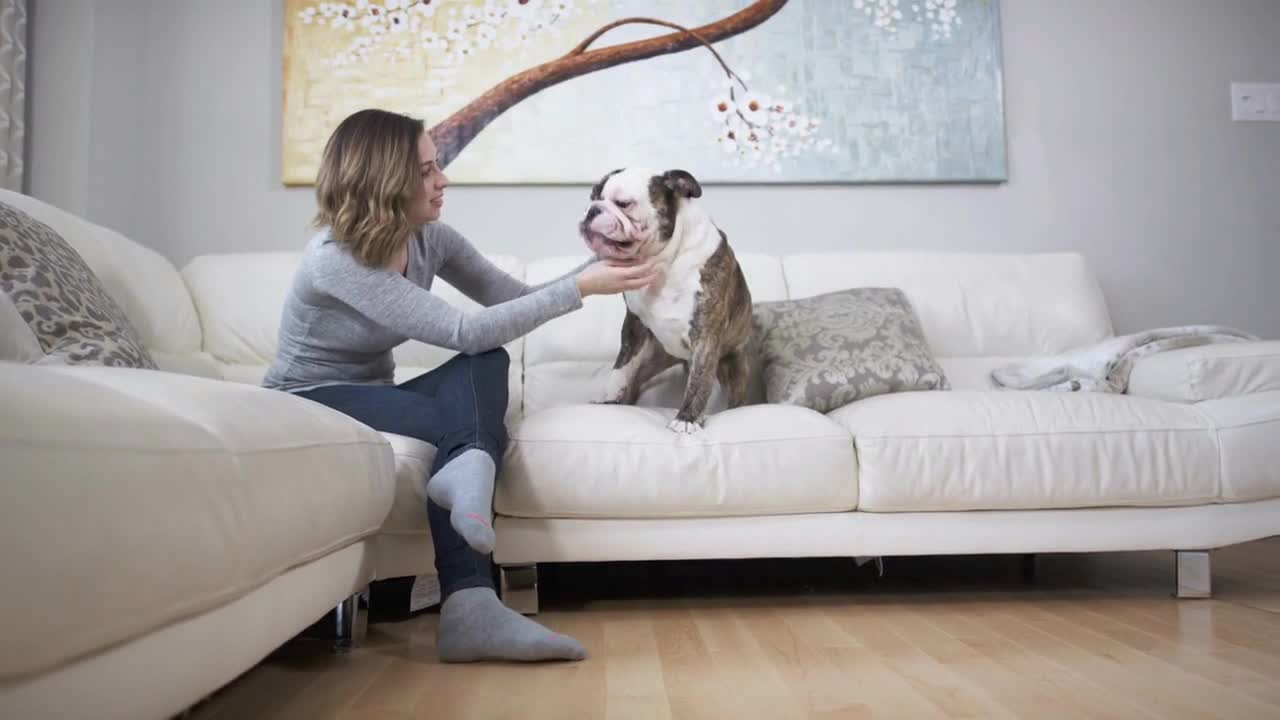 Woman on couch with dog bulldog love