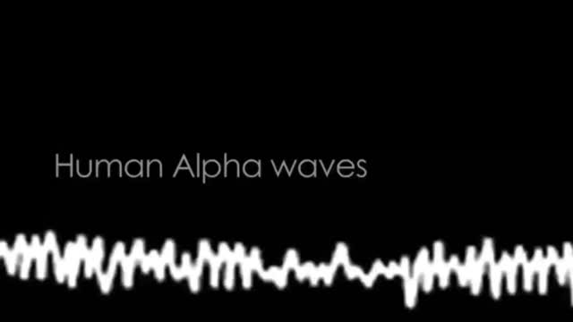 Schumann Resonance Experiment