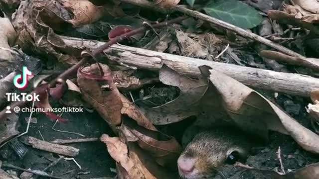 Welcome to Bubbas home