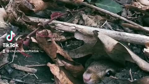 Welcome to Bubbas home