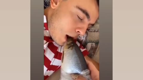 Funny kiss buy fish