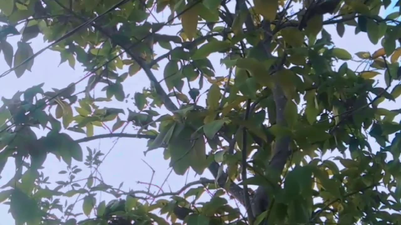 Suasana sekitar