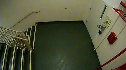 8403OHOB03Stair4_2021-01-05_05h49min05s157ms.mp4