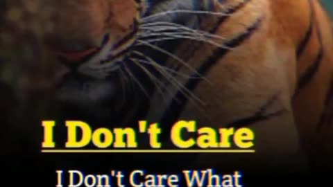 I don't care