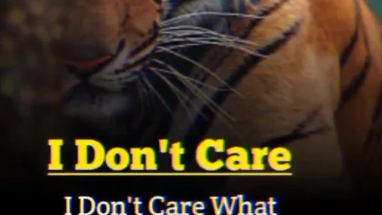 I don't care