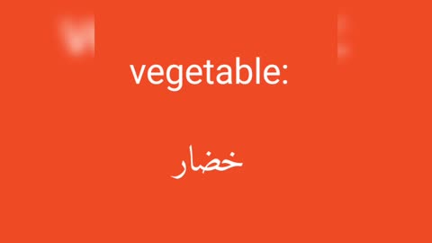 Vegetable معنى كلمة