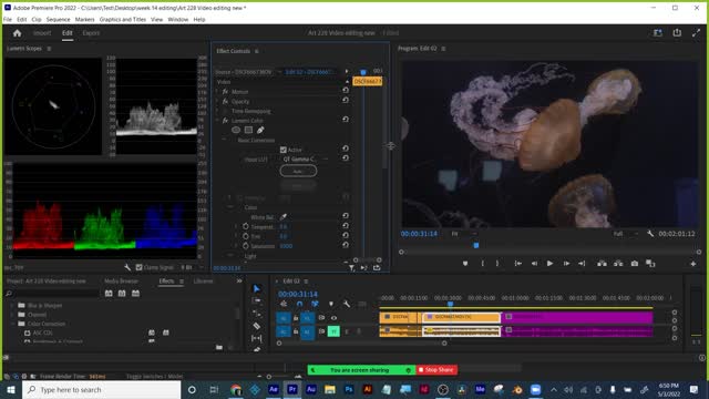 Adobe Premiere and Video Editing Part 2: for Intermediate to Pro 05042022