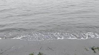 Puget Sound Waves ASMR