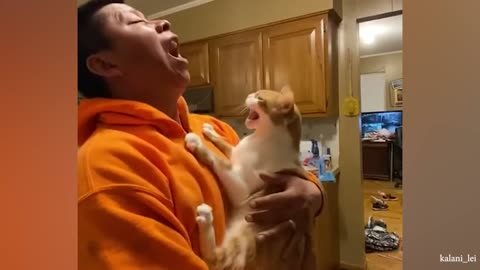 WORLD BEST FUNNIEST🤣 Dog vs men 🤣 funny video> Don't Try Laughing 🤣 clips