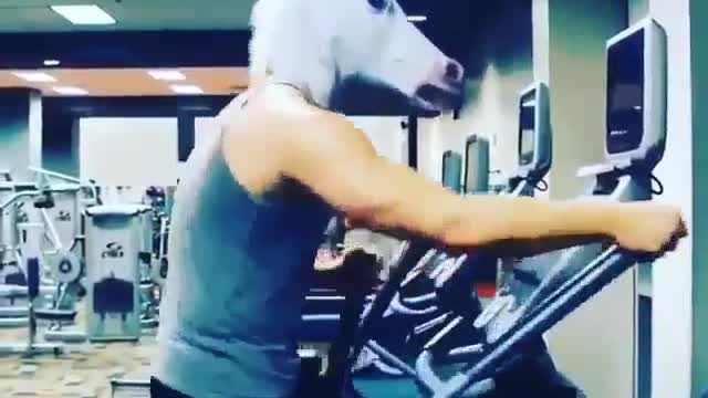 The Fitness Horse