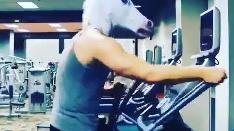 The Fitness Horse