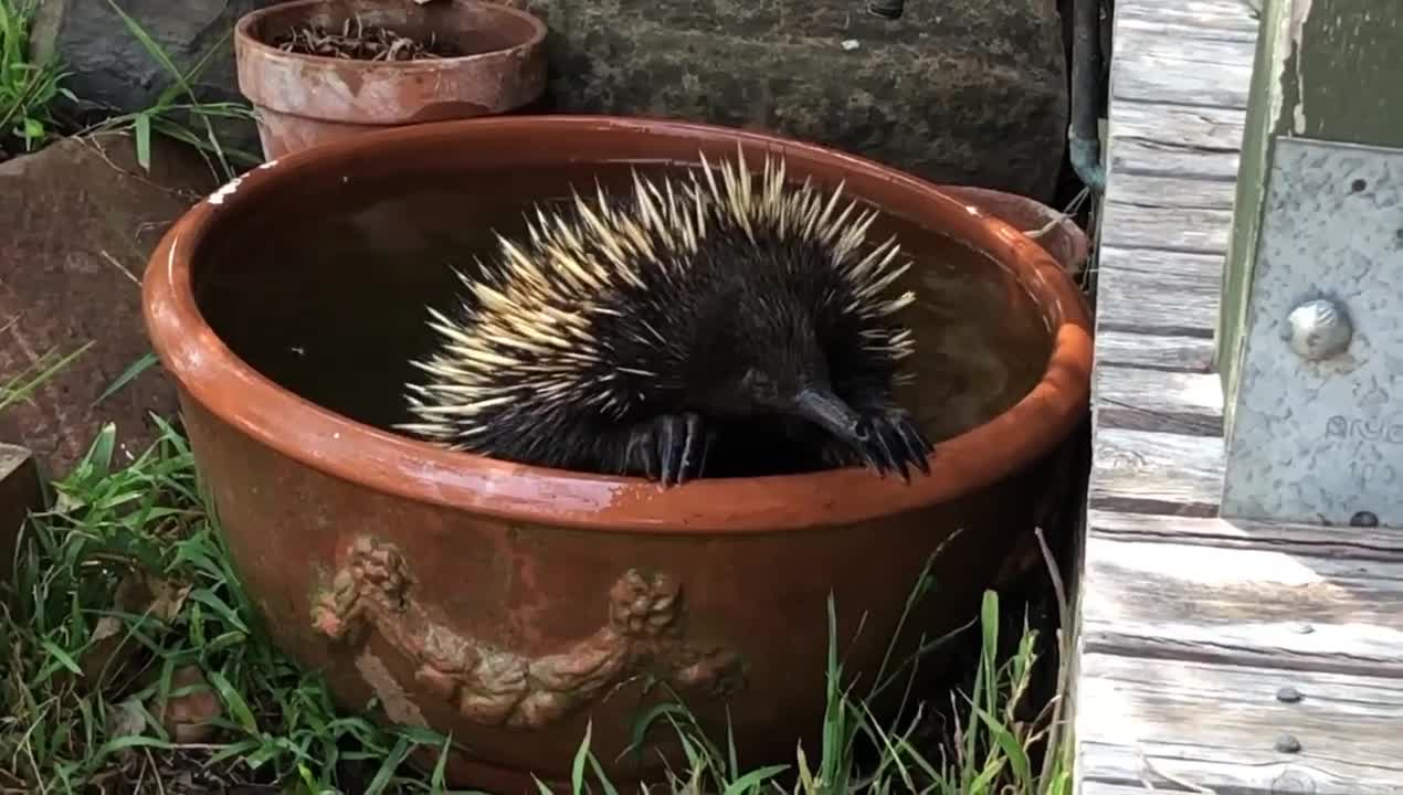 A good bath