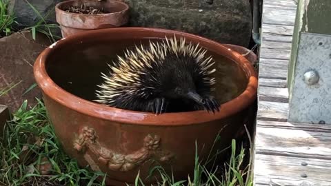 A good bath