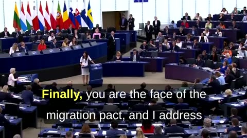 Polish Mep