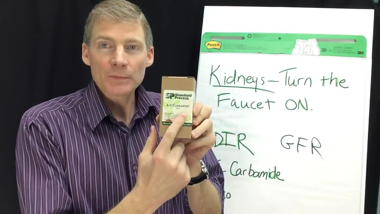 Turn on Kidneys Like a Faucet 097