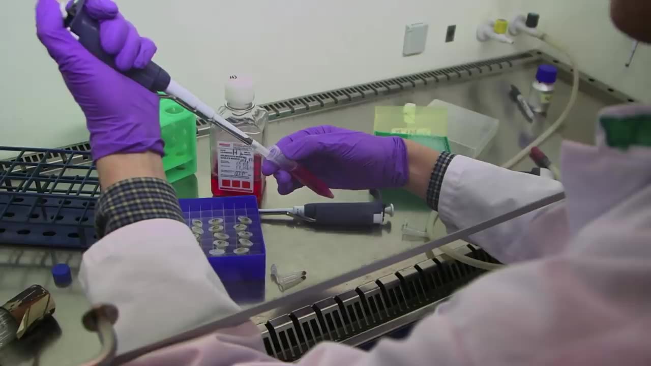 The Meat Lobby: How the Meat Industry Hides the Truth | ENDEVR Documentary