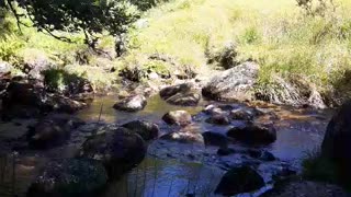 Cowslic river. AUG 2022. Dartmoor