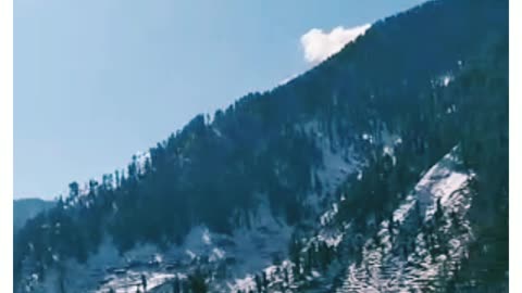 Nature video snow fall