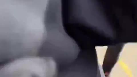 Gang of blacks illegal immigrants attack lone white man in Sheffield