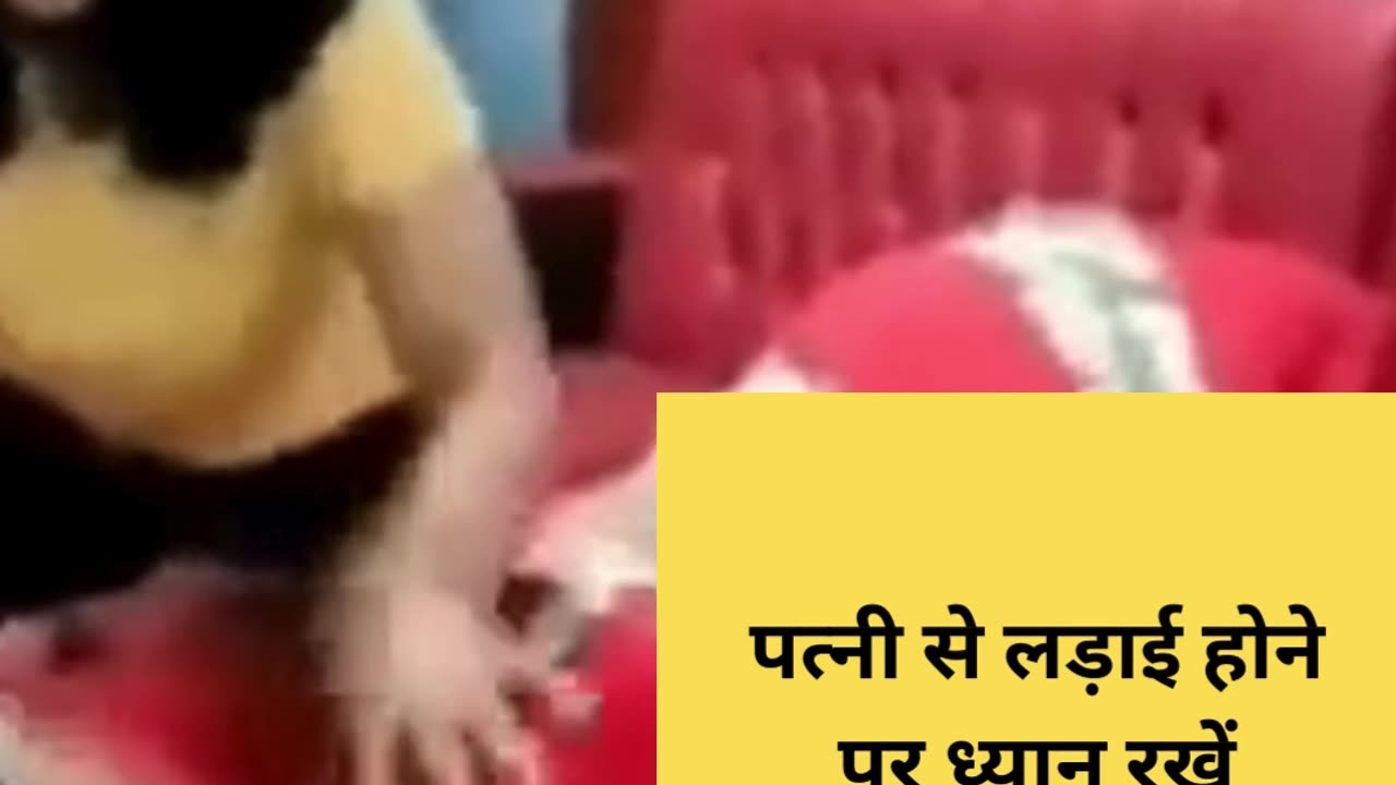 पत्नी से लड़ाई होने पर ध्यान रखें 😂😂👌 #shorts #funnyshorts #youtubeshorts #comedyvideo #viralvideo