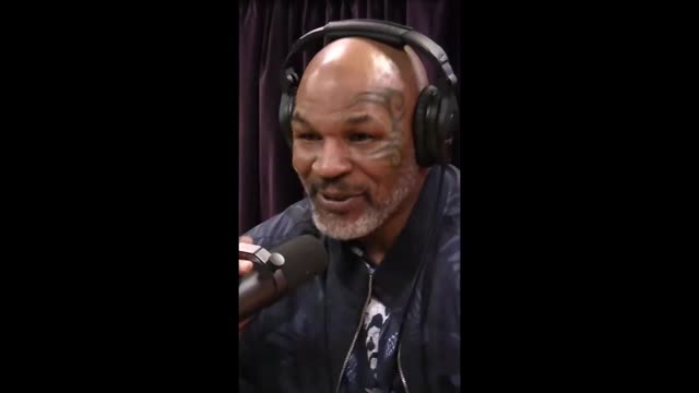 Mike Tyson Tells Joe Rogan How He Got Pet Tigers!