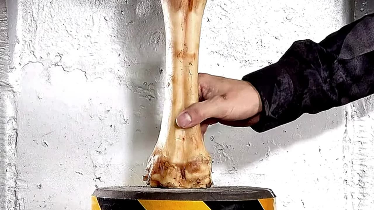 Bone Vs Hydraulic Press 😱