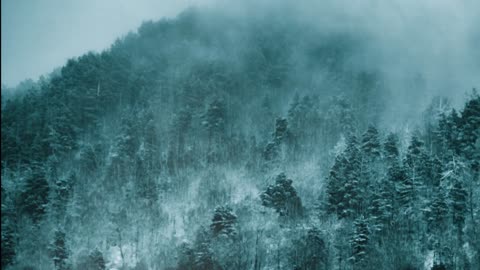 a nostalgic twilight comfort playlist (instrumentals + rain ambience)🔴